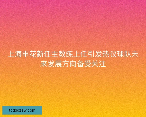 上海申花新任主教练上任引发热议球队未来发展方向备受关注 上海申花新任主教练上任引发热议球队未来发展方向备受关注