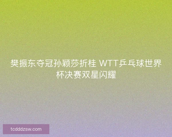 樊振东夺冠孙颖莎折桂 WTT乒乓球世界杯决赛双星闪耀